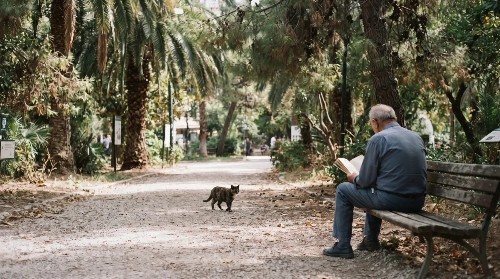 A shaded gravel path under palms in the National Garden in Athens, Greece